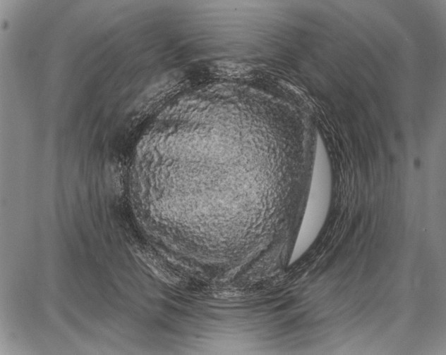 X0000087670658200705181706