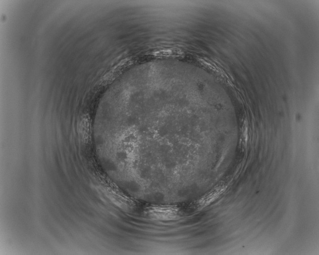 X0000087670659200705181706