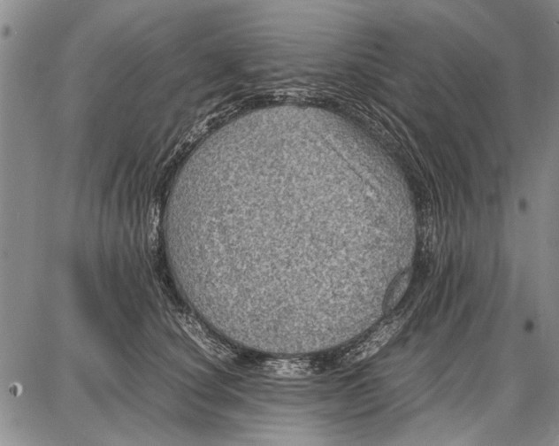 X0000087670660200705181706