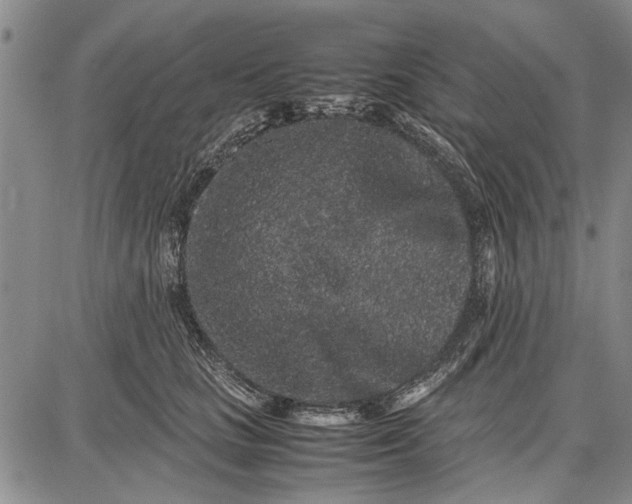 X0000087670661200705181706