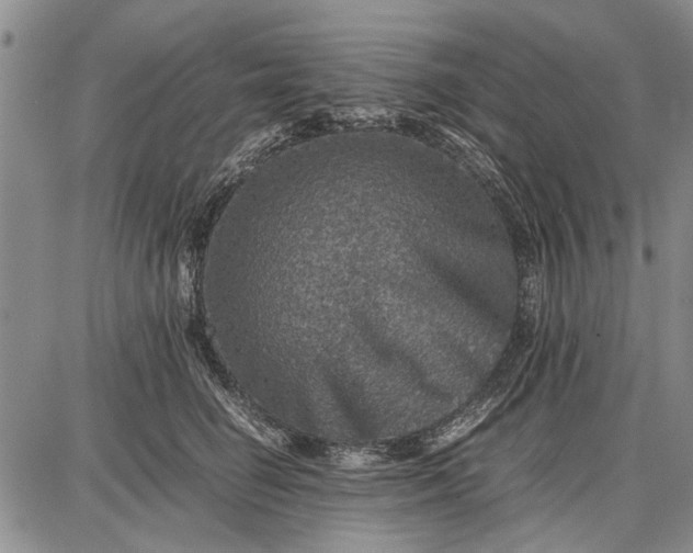 X0000087670662200705181706