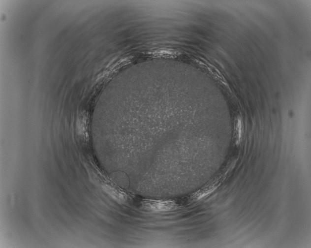 X0000087670663200705181706