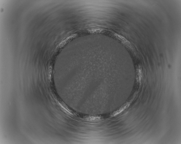 X0000087670664200705181706