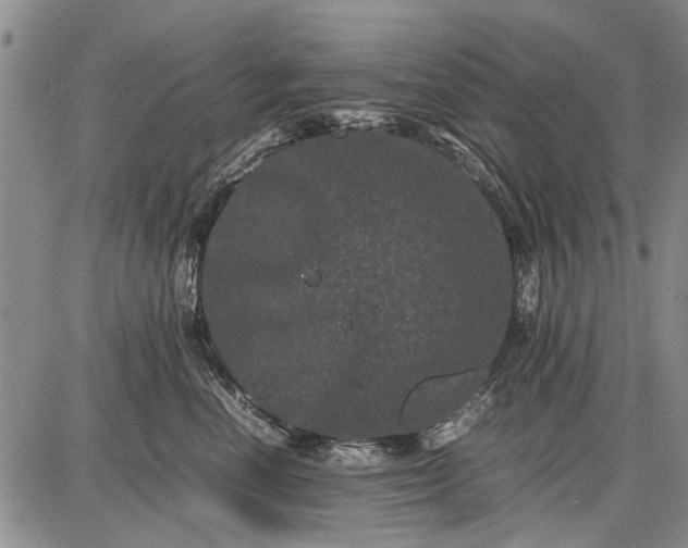 X0000087670666200705181706