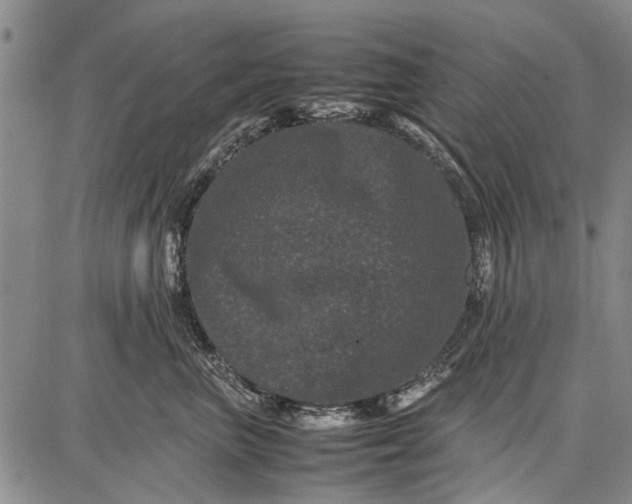 X0000087670667200705181706