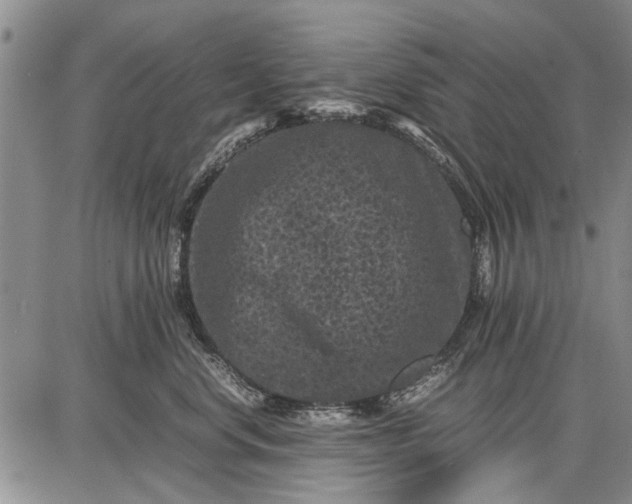 X0000087670668200705181706