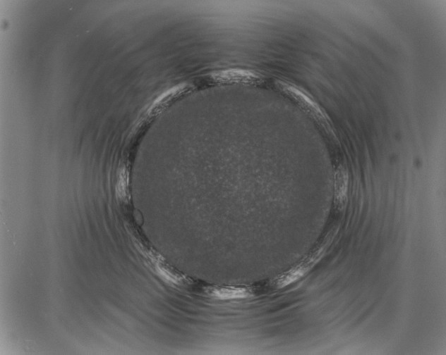 X0000087670669200705181706