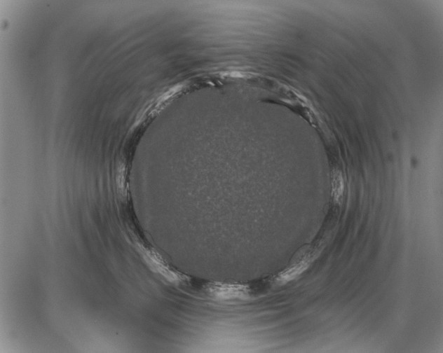 X0000087670670200705181706