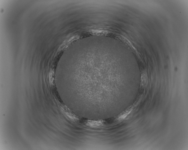 X0000087670671200705181706