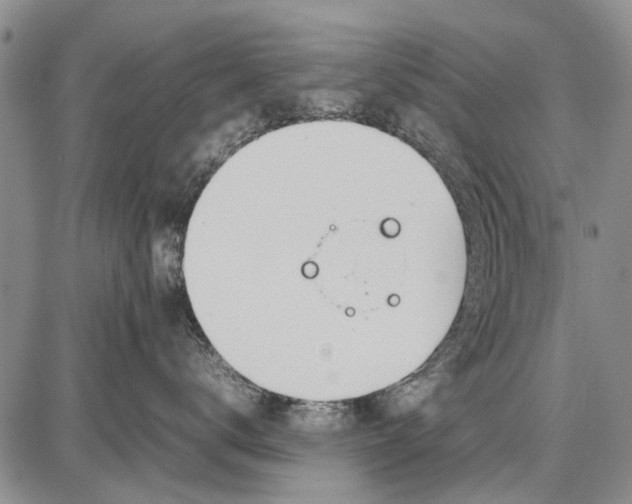 X0000087670672200705181706