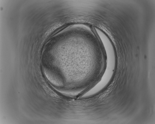 X0000087670673200705181705