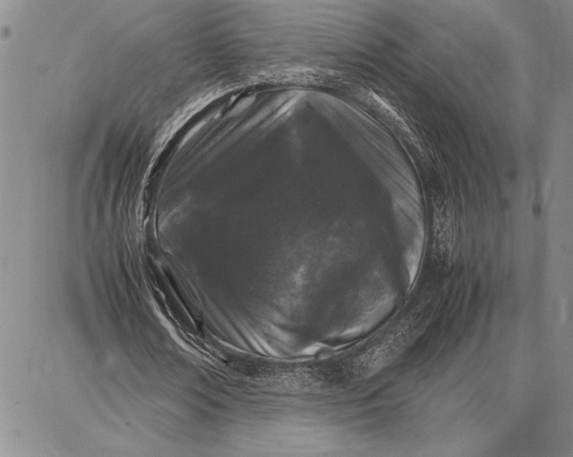 X0000087670674200705181705