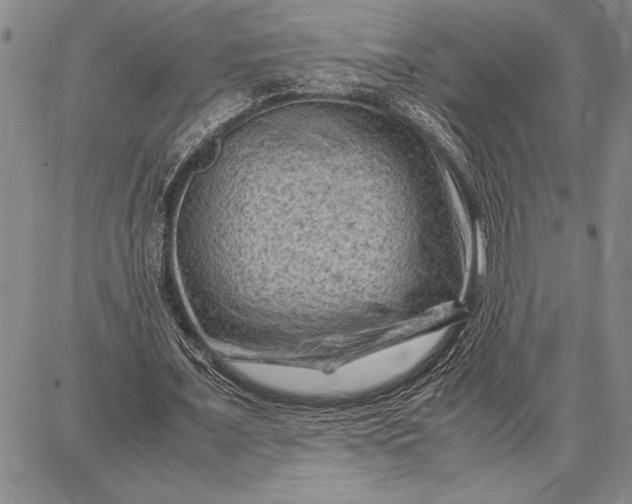 X0000087670675200705181705