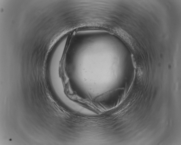 X0000087670676200705181705