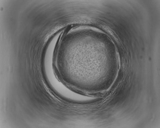 X0000087670677200705181705