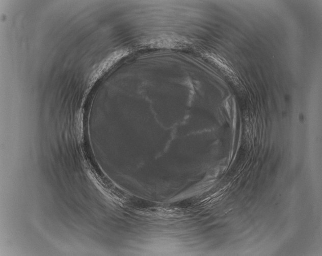 X0000087670678200705181705