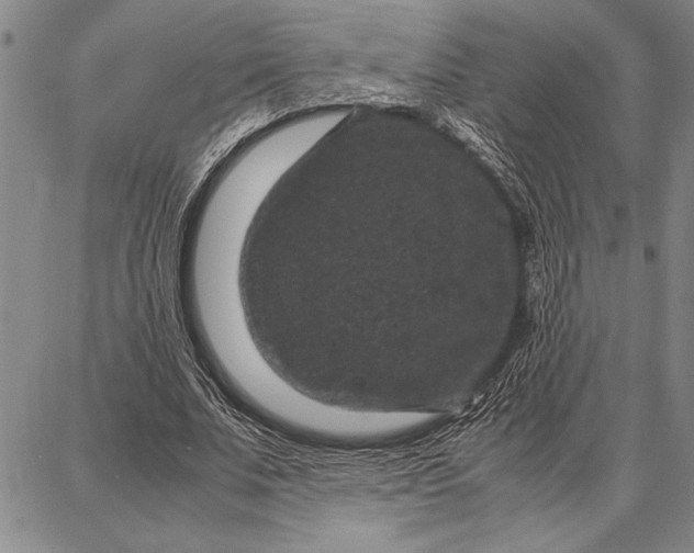 X0000087670679200705181705