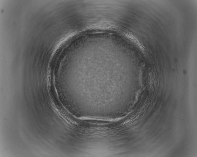 X0000087670680200705181705