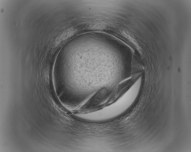 X0000087670681200705181705