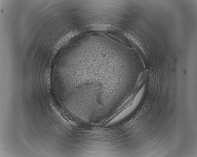 X0000087670682200705181705