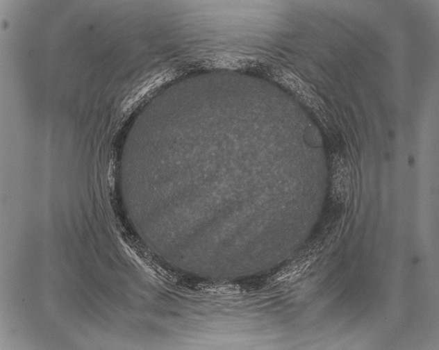 X0000087670683200705181705