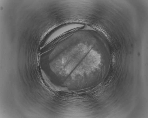 X0000087670684200705181705