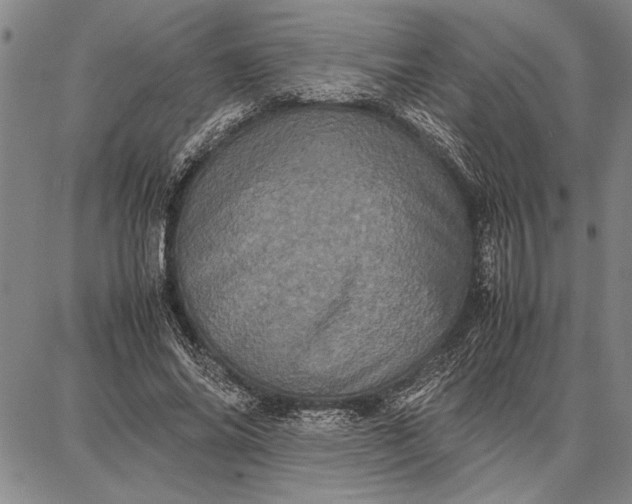 X0000087670686200705181705