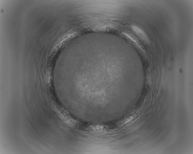 X0000087670687200705181705