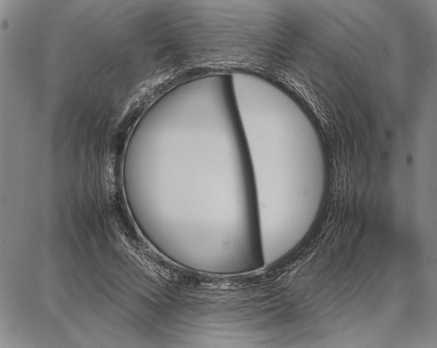 X0000087670688200705181705