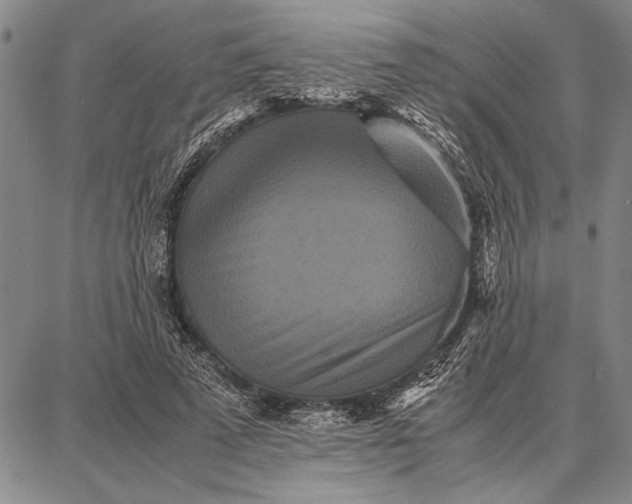 X0000087670689200705181705