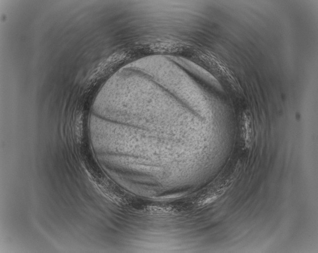 X0000087670690200705181705