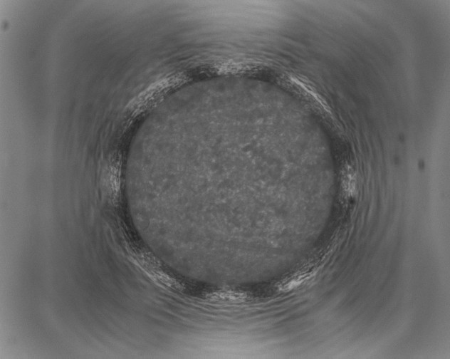 X0000087670691200705181705