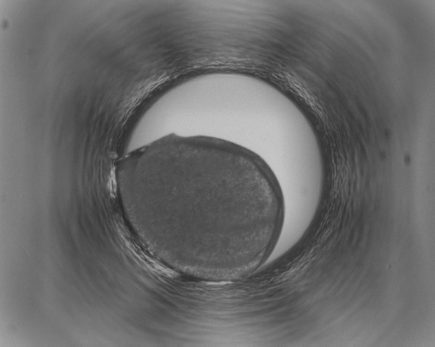 X0000087670692200705181705