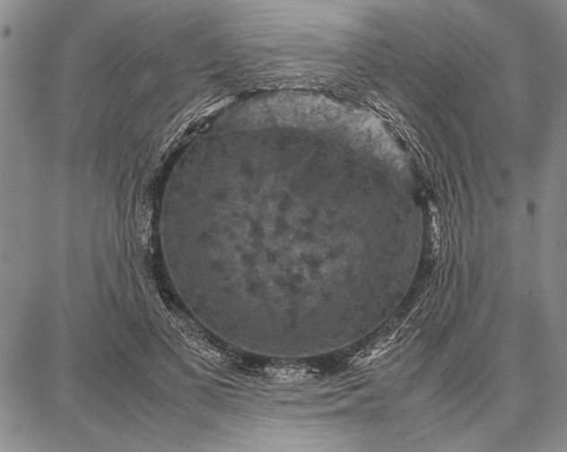 X0000087670693200705181705