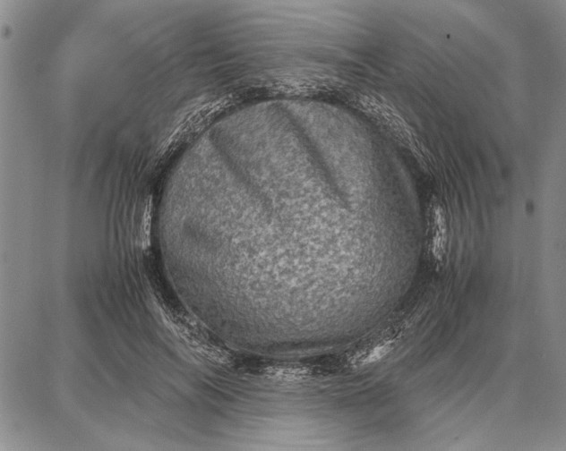 X0000087670694200705181705