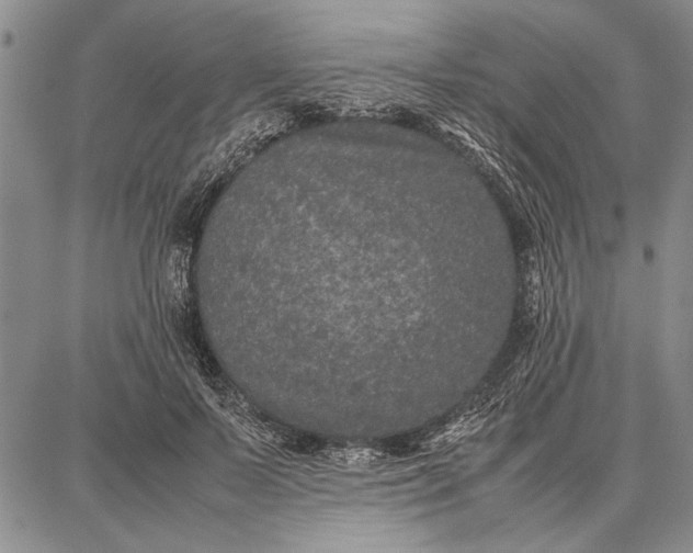 X0000087670695200705181705