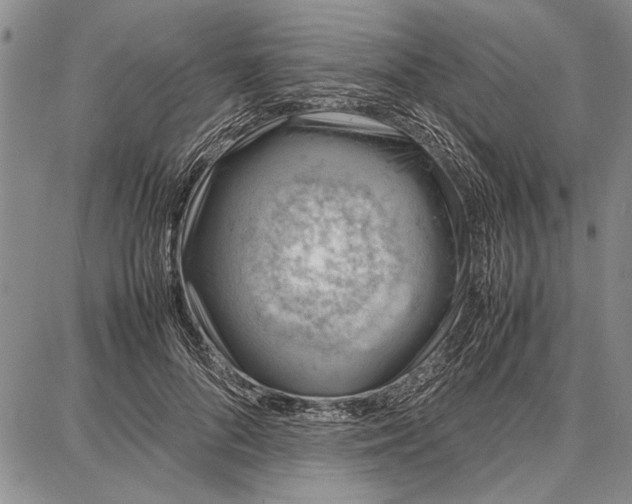 X0000087670696200705181705