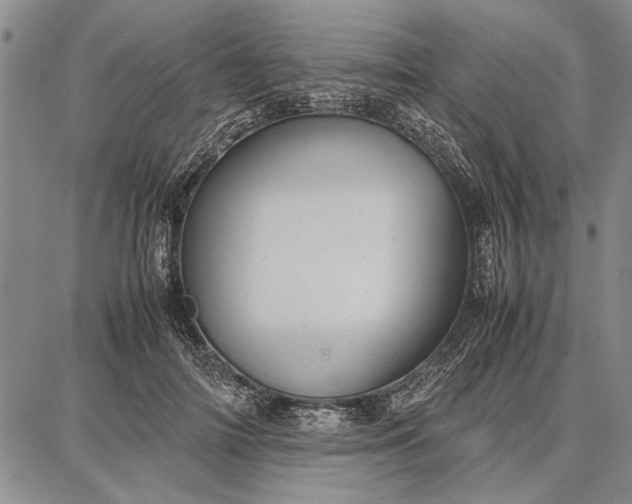 X0000087670698200705181705