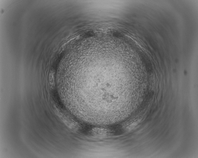 X0000087670699200705181705