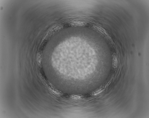 X0000087670701200705181705