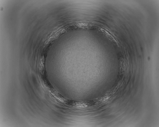 X0000087670702200705181705