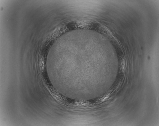 X0000087670703200705181705