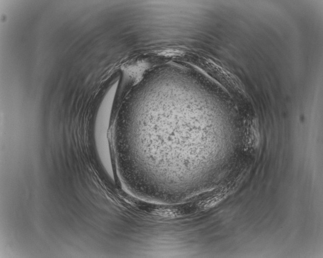 X0000087670704200705181705