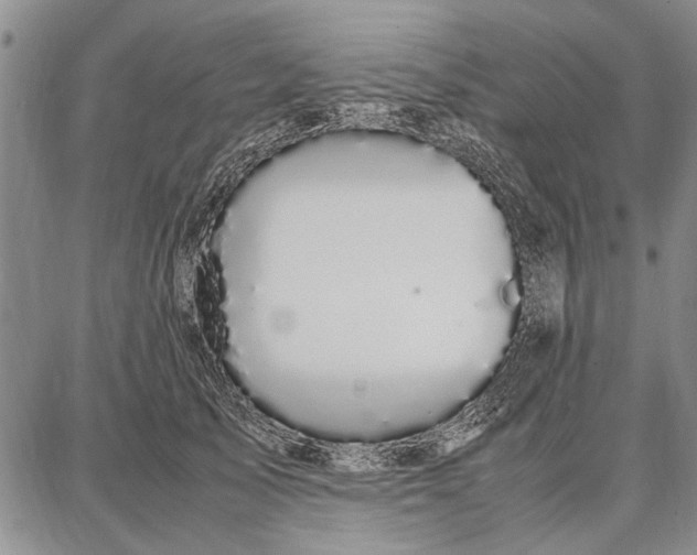 X0000087670705200705181705