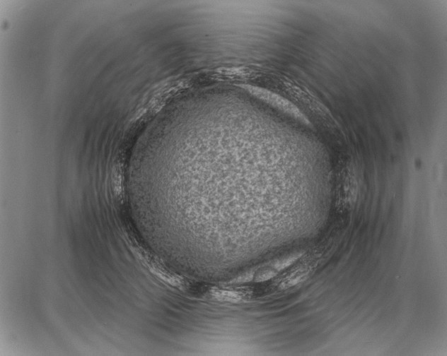 X0000087670706200705181705