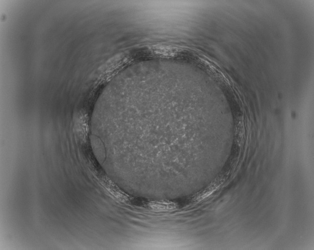 X0000087670707200705181705