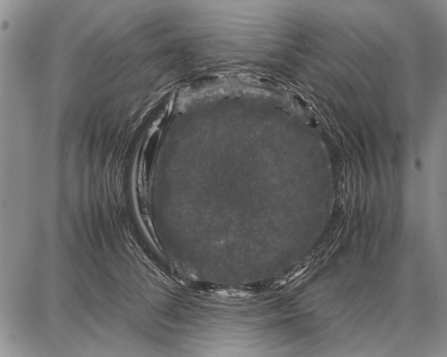 X0000087670708200705181705