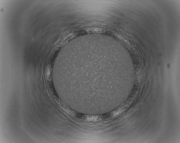 X0000087670709200705181705