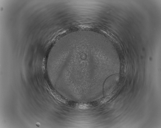 X0000087670710200705181705