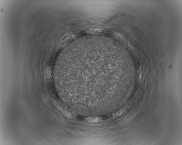 X0000087670711200705181705